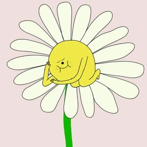 Meet your Posher, Jess